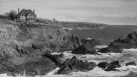 Backdrop to the movie "The Uninvited" #602276