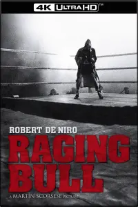 Poster to the movie "Raging Bull" #792181
