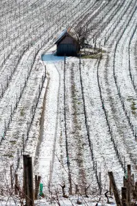 Poster to the movie "Moments of Resistance" #1080971
