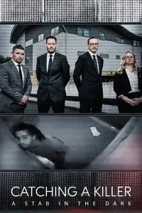 Poster to the movie "Catching A Killer: A Stab In The Dark" #549750