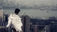 Backdrop to the movie "Amphetamine" #721147