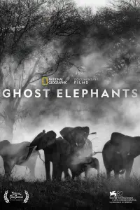 Poster to the movie "Ghost Elephants" #869878