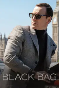 Poster to the movie "Black Bag" #903958