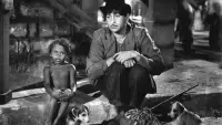 Backdrop to the movie "Shree 420" #737876