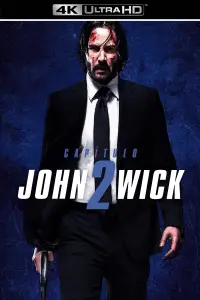 Poster to the movie "John Wick: Chapter 2" #912786