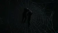 Backdrop to the movie "Spider-Man 3" #801746