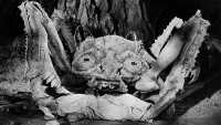 Backdrop to the movie "Attack of the Crab Monsters" #829471