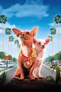 Poster to the movie "Beverly Hills Chihuahua" #780946