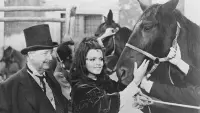 Backdrop to the movie "Black Beauty" #723273