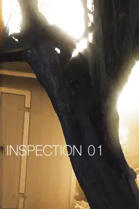 Poster to the movie "Inspection 01" #700892