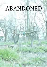 Poster to the movie "Abandoned" #472874