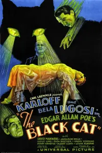 Poster to the movie "The Black Cat" #979712