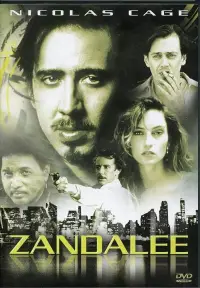 Poster to the movie "Zandalee" #1035409