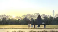 Backdrop to the movie "Wolf Children" #735258