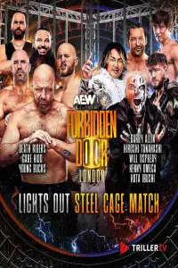 Poster to the movie "AEW x NJPW: Forbidden Door 2025" #671482