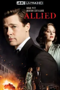 Poster to the movie "Allied" #958707