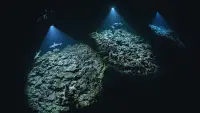 Backdrop to the movie "700 Sharks" #745659