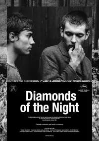 Poster to the movie "Diamonds of the Night" #1059450
