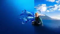 Backdrop to the movie "Dolphins Up Close with Bertie Gregory" #869765