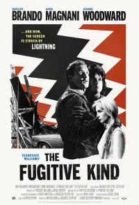 Poster to the movie "The Fugitive Kind" #1141792