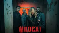 Backdrop to the movie "Wildcat" #1118018
