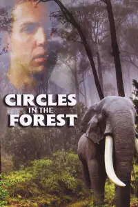Poster to the movie "Circles in a Forest" #1233074