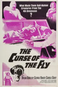Poster to the movie "Curse of the Fly" #973223