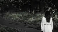 Backdrop to the movie "Nyctophobia" #784105