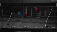 Backdrop to the movie "Rumble Fish" #812108