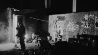 Backdrop to the movie "Dark Days" #729631