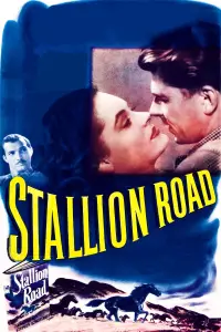 Poster to the movie "Stallion Road" #1171319