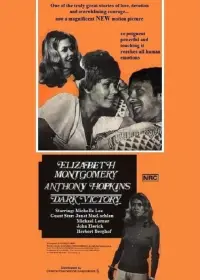 Poster to the movie "Dark Victory" #1177387