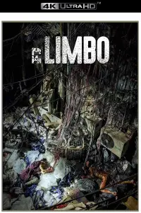 Poster to the movie "Limbo" #1174682