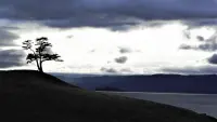 Backdrop to the movie "Invisible World" #767526