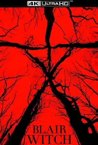 Poster to the movie "Blair Witch" #692907