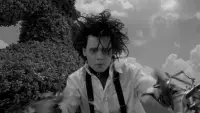 Backdrop to the movie "Edward Scissorhands" #913123