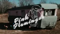 Backdrop to the movie "Pink Flamingos" #771784