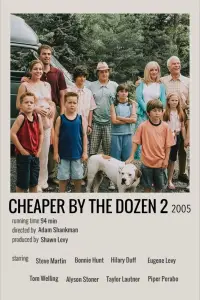 Poster to the movie "Cheaper by the Dozen 2" #974610