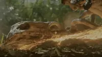 Backdrop to the movie "Jurassic World: Fallen Kingdom" #800900