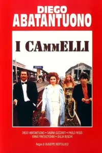 Poster to the movie "I cammelli" #1086640