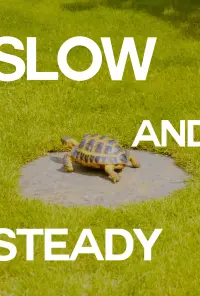 Poster to the movie "Slow And Steady" #556104