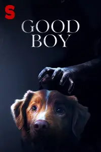 Poster to the movie "Good Boy" #1003486