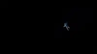 Backdrop to the movie "Gravity" #678285