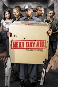 Poster to the movie "Next Day Air" #1146378