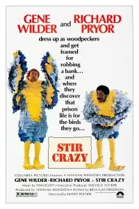 Poster to the movie "Stir Crazy" #1029635