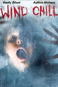 Poster to the movie "Wind Chill" #993313