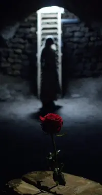 Belle