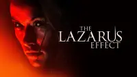 Backdrop to the movie "The Lazarus Effect" #996461