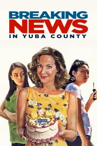 Poster to the movie "Breaking News in Yuba County" #1112583