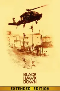 Poster to the movie "Black Hawk Down" #930630